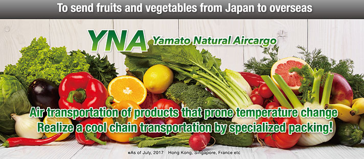 Yamato Natural Aircargo